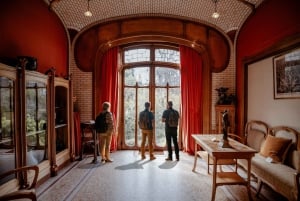Brussels: Art Nouveau Private Walking Tour with Horta Museum