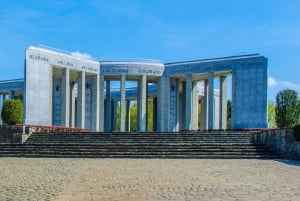 Bruxelles : Visite guidée de la Bataille des Ardennes avec guide privé