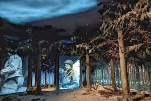 Bruxelles : Visite guidée de la Bataille des Ardennes avec guide privé
