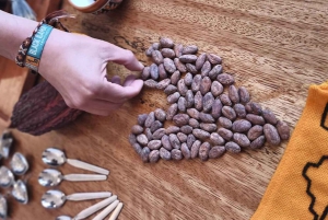 Bryssel: 1 timmes chokladworkshop från bön till chokladkaka