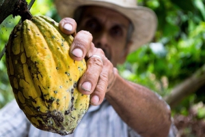 Brussels: Chocolate Workshop and Guided Walking Tour