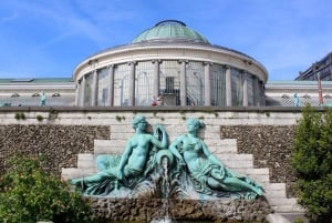 Bruxelles: City Card con autobus Hop-On Hop-Off