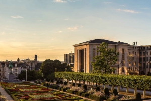 Brussels Culinary Evening Tour