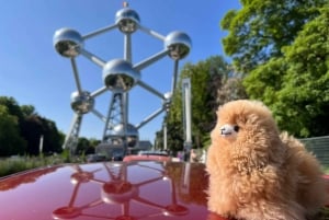 Brussels Day Trip from Paris or Amsterdam by Comfort Car