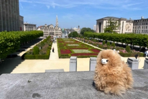 1-dniowa wycieczka do Brukseli z Paryża lub Amsterdamu minivanem