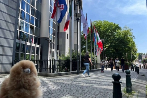 1-dniowa wycieczka do Brukseli z Paryża lub Amsterdamu minivanem