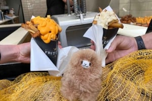 1-dniowa wycieczka do Brukseli z Paryża lub Amsterdamu minivanem