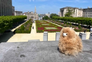 Brussels Day Trip from Paris or Amsterdam by Mini-Van