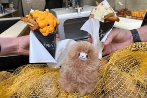 Brussels Day Trip from Paris or Amsterdam by Mini-Van