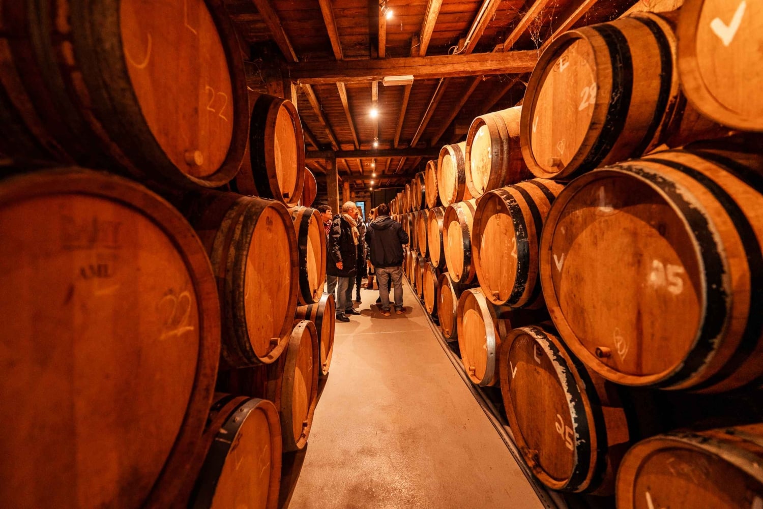 Brussel: Oppdag Belgias bryggerier med en lokal innbygger