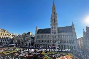 Bruxelas - 'Capital Europeia' e excursão a pé diária a Waterloo