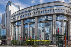Bryssel - 'Europas huvudstad' & Waterloo Daglig vandringstur