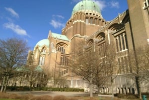 Bruksela: bilet do Halle Gate i audioprzewodnik po mieście