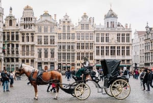 Brussels: Highlights & Hidden Gems Private Walking Tour