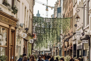 Brussels: Highlights & Hidden Gems Private Walking Tour