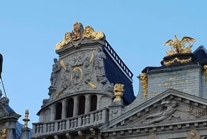 Brussels: Highlights Private Tour