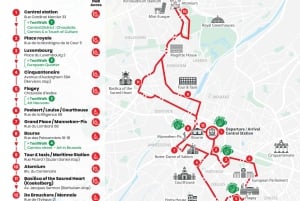 Bruxelles : visite en bus à arrêts multiples et tour de grande roue