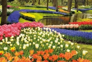 Brussels: Keukenhof, Tulips, and Delft Day Trip