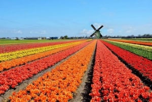 Brussels: Keukenhof, Tulips, and Delft Day Trip