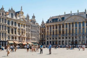 Bruxelles: ingresso al Museo degli Strumenti Musicali e tour audio della città