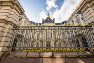 Bruxelles: Privat, eksklusiv historisk tur med en lokal ekspert