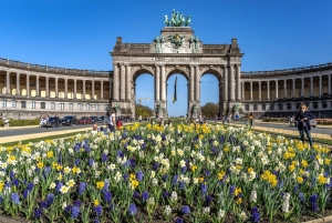 Брюссель: частная экскурсия по главным достопримечательностям города