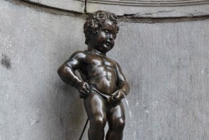 Brussels: Private Highlights Tour