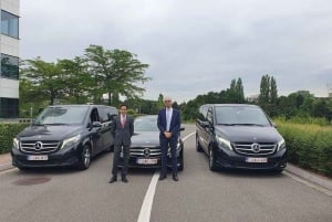 Brussels: Private Highlights Tour