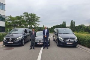 Bruxelles: Tour privato dei punti salienti