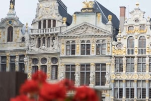 Bryssel: Privat rundtur i övre och nedre delen av staden