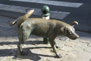 Bruksela: Prywatna wycieczka po Górnym i Dolnym Mieście