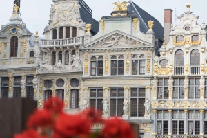 Brussels: Private Tour of the Upper and Lower City