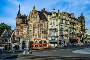 Brussels: Private Walking Tour