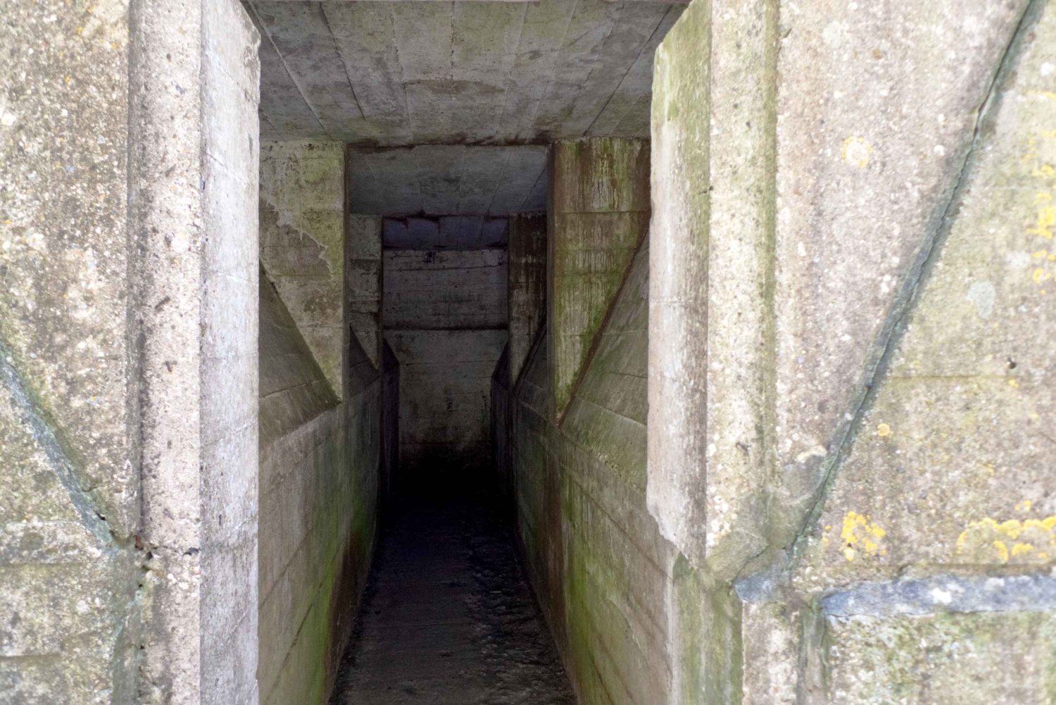 Brussels: Private World War I Tour: Trenches & Battlefields