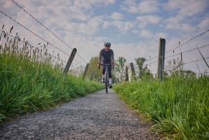 100-kilometrowa szosowa wycieczka rowerowa z Brukseli do Flandrii