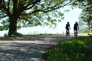 De Bruselas a Flandes 100 km en bicicleta de carretera