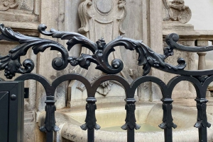 Bruxelas: Passeio a pé pelo centro histórico com um guia local em espanhol