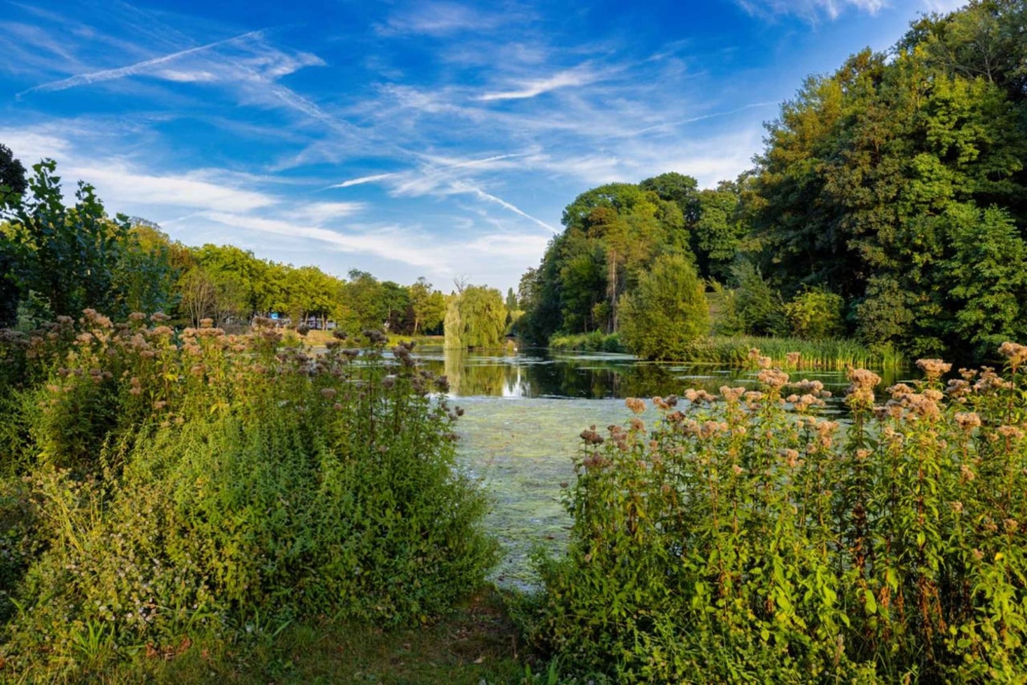 Tour particular encantador por Bruxelas: história e cultura reveladas