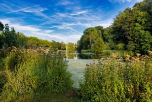 Tour particular encantador por Bruxelas: história e cultura reveladas