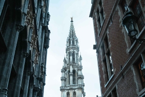 From Amsterdam: Guided tour to Antwerp and Brussels