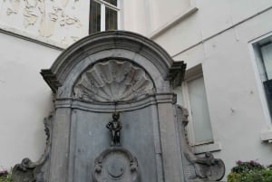 From Amsterdam: Private Sightseeing Tour to Brussels