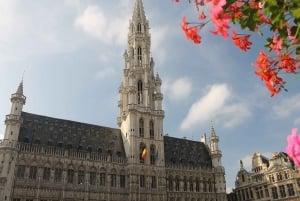 Da Amsterdam: Gita turistica privata a Bruxelles