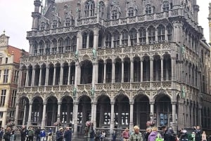 Fra Amsterdam: Dagsomvisning i små grupper til Brussel og Atomium