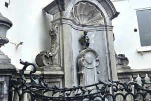 Amsterdamista: Pienryhmäretki Brysseliin ja Atomiumiin