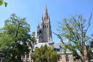 From Brussels: Bruges Private Tour