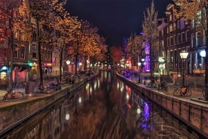 De Bruxelas: Viagem de 1 Dia a Amsterdã com Queijos, Tamancos e Moinhos de Vento