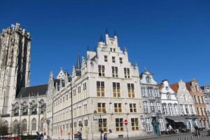 Von Brüssel aus: Tagestour nach Leuven & Mechelen