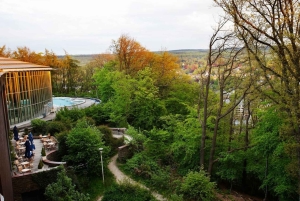 De Bruxelas: passeio de um dia ao circuito de Spa Grand Prix