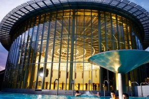 De Bruxelas: passeio de um dia ao circuito de Spa Grand Prix