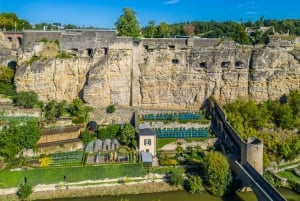 De Bruxelas: Viagem de 1 dia à cidade do Luxemburgo com guia privado
